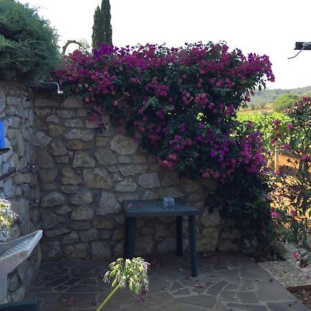 Studio-Appartment In Landhaus Mit Meerblick Porto Azzurro Εξωτερικό φωτογραφία