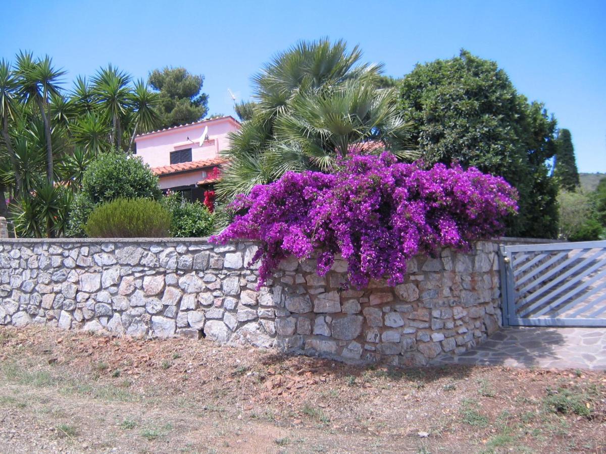 Studio-Appartment In Landhaus Mit Meerblick Porto Azzurro Εξωτερικό φωτογραφία