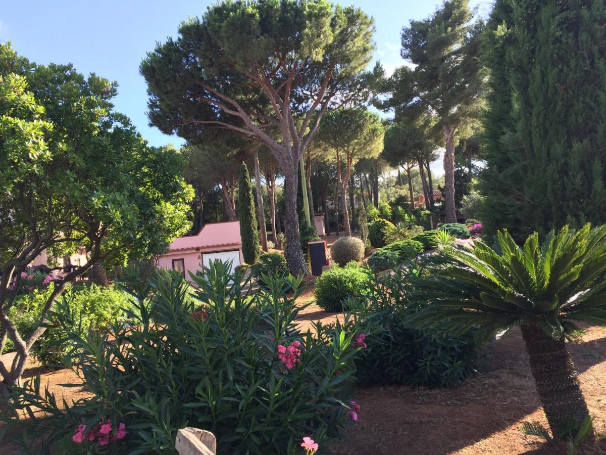 Studio-Appartment In Landhaus Mit Meerblick Porto Azzurro Εξωτερικό φωτογραφία